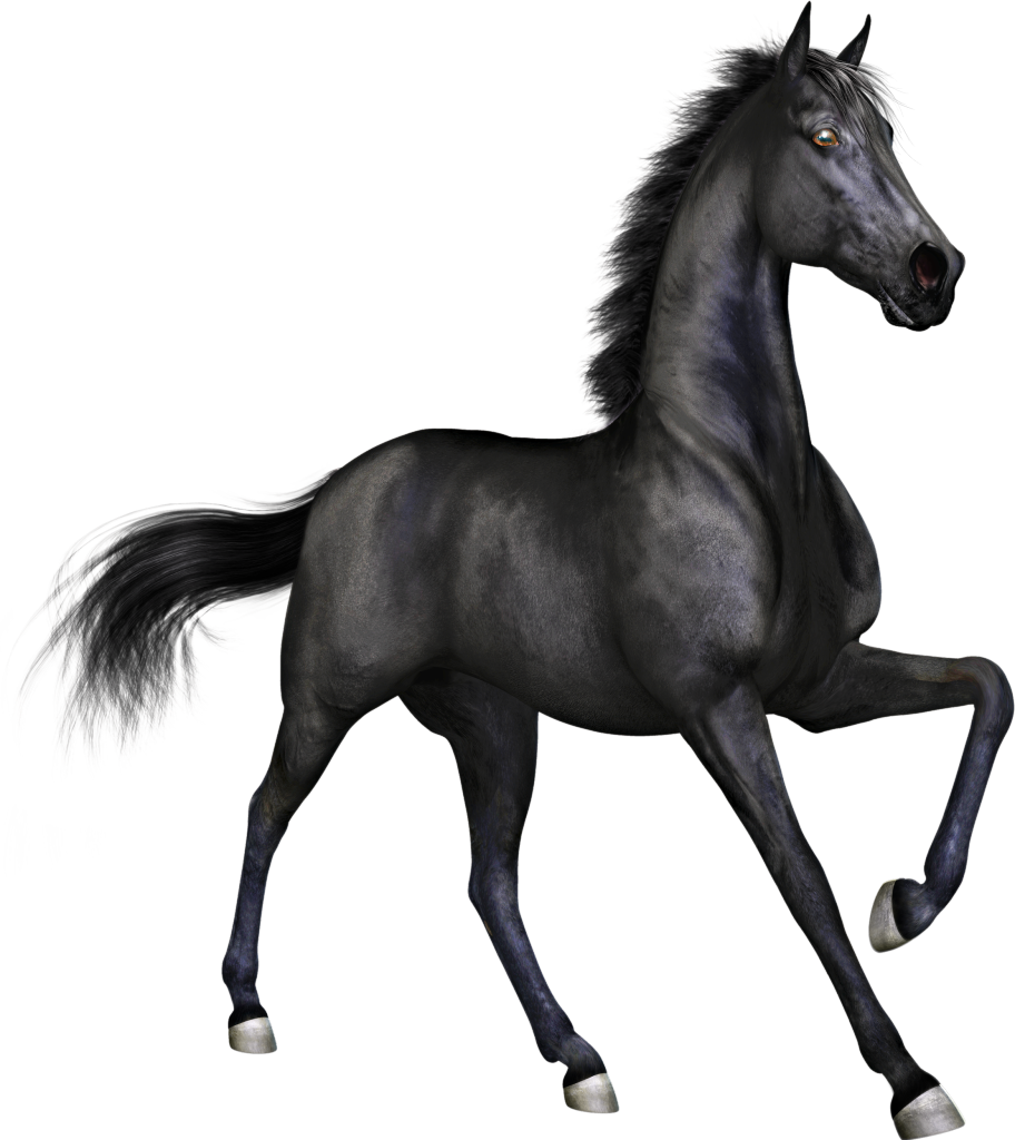 clipart racehorse horse - photo #3