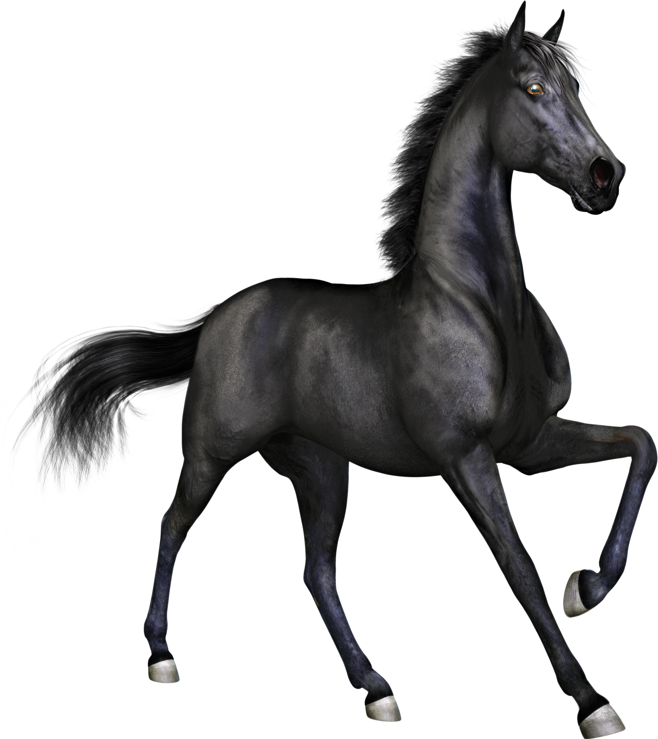 clipart racehorse horse - photo #20