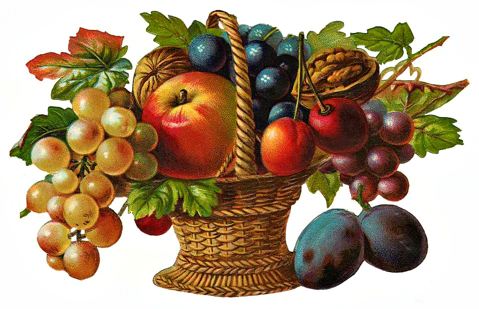 free fruit basket clipart - photo #48