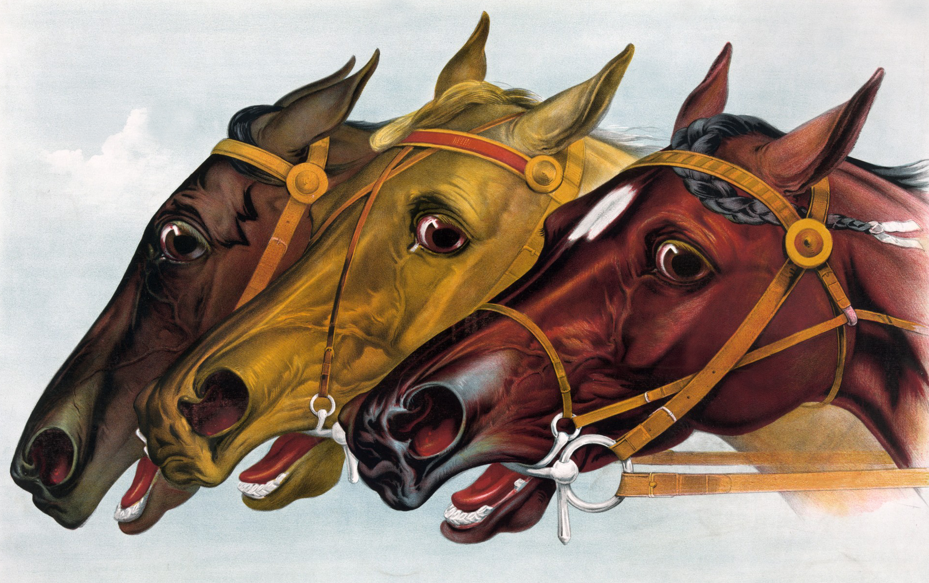clip art for horse racing - photo #44