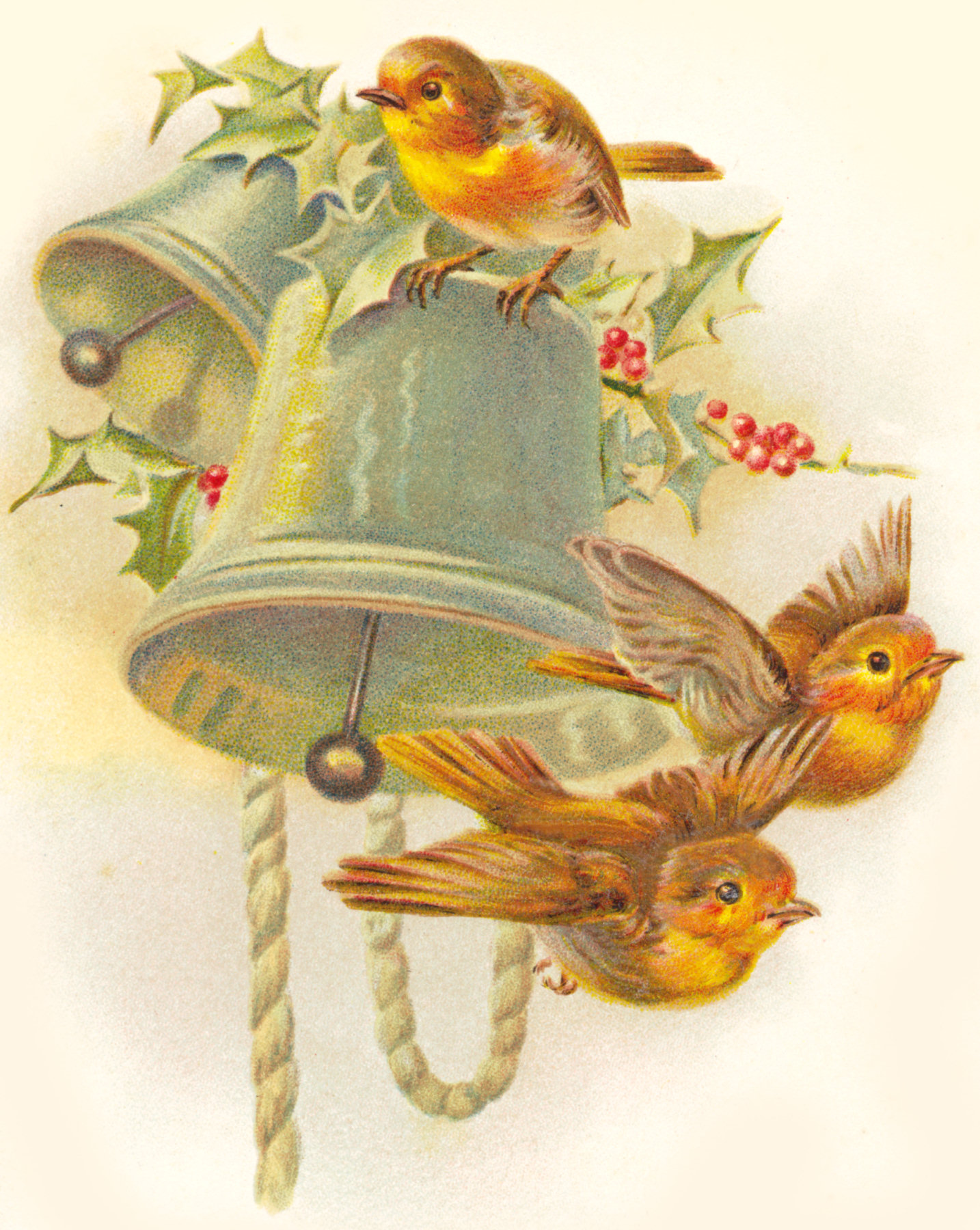 Vintage Christmas Birds Hot Sex Picture vintage-christmas-birds-hot-sex-picture
